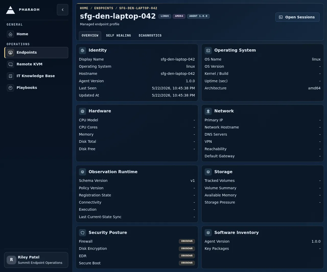 Endpoint details page with identity, Sentinel context, detail tabs, and the Open Sessions handoff.
