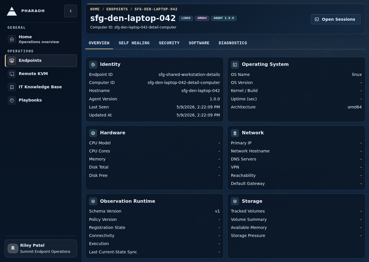 Endpoint details page with identity, Sentinel context, detail tabs, and the Open Sessions handoff
