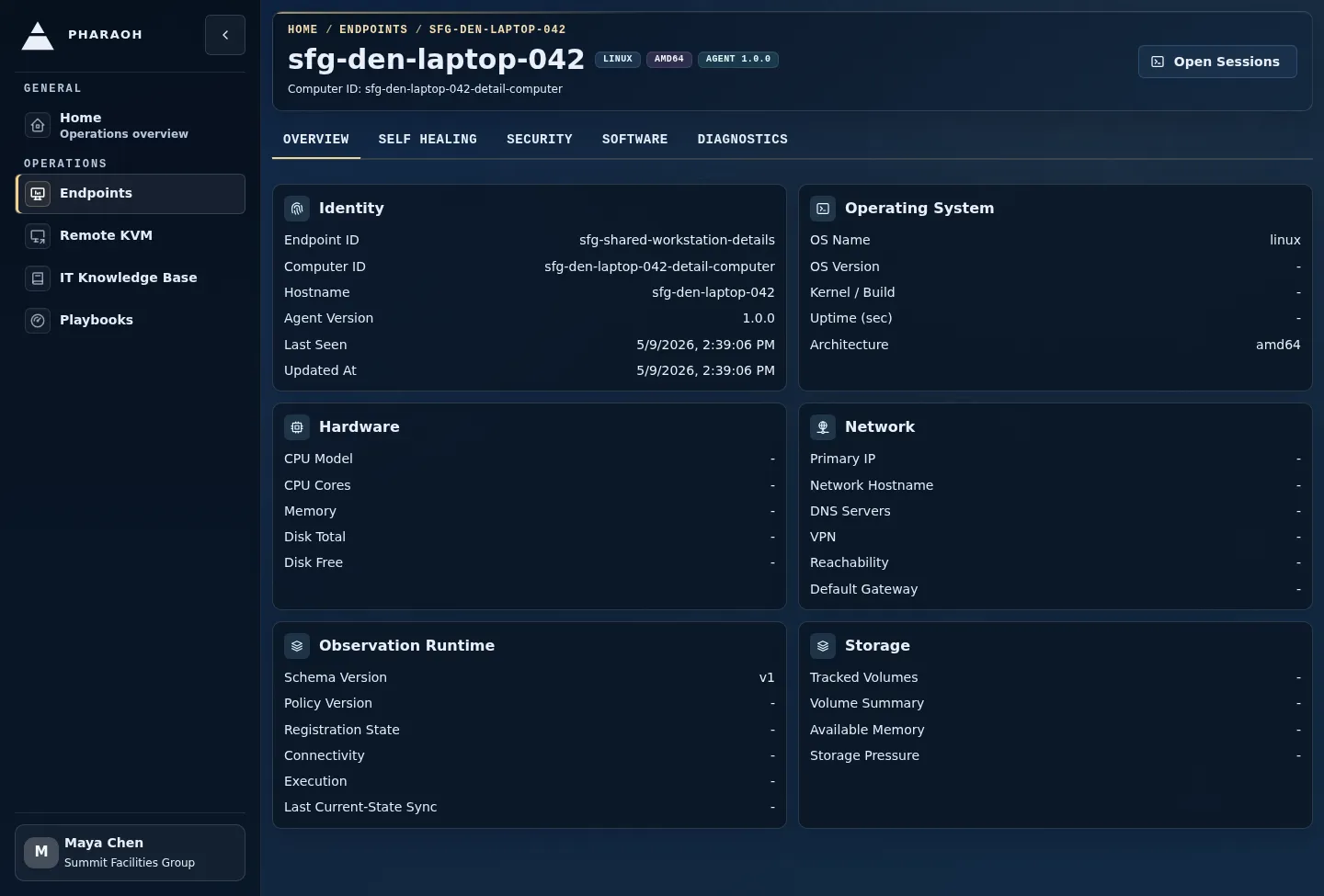 Endpoint details page showing endpoint identity, Last Seen context, Sentinel state, and the Open Sessions handoff.
