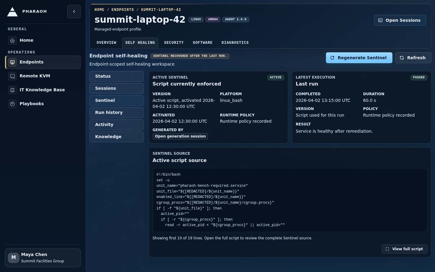 Endpoint self-healing Sentinel tab showing active version, latest execution status, execution history table, and failure fingerprints