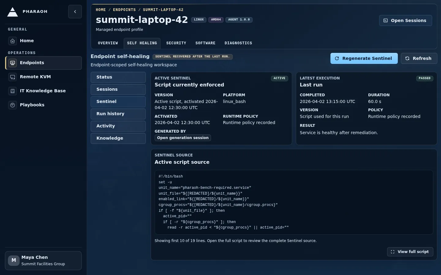 Endpoint self-healing Sentinel view showing active Sentinel provenance and source.