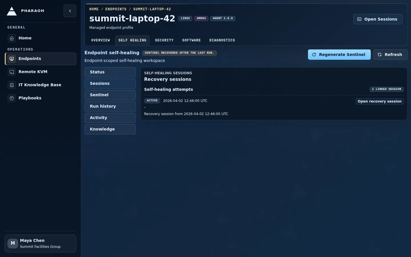 Endpoint self-healing Sessions view showing linked recovery work.